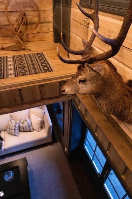 Roalden Mountain Lodge 스트란다 외부 사진